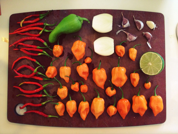 homemade hot sauces ingredients