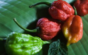 ghost pepper scoville